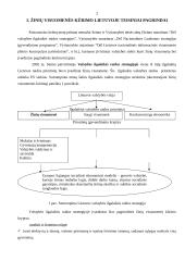 Žinių visuomenės kūrimo Lietuvoje procesas, problemos ir perspektyvos 2 puslapis