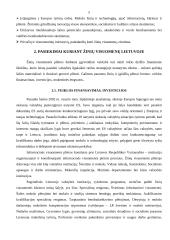 Žinių visuomenės kūrimo Lietuvoje procesas, problemos ir perspektyvos 5 puslapis