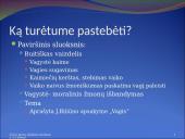 Ekspresionizmas Jurgis Savickis 8 puslapis