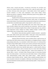 J. Savickis „Ad astra“ novelės analizė 2 puslapis