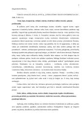 J. Savickis ,,Vagis'' novelės analizė 2 puslapis