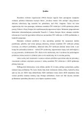 ŽIV - AIDS prevencija 2 puslapis