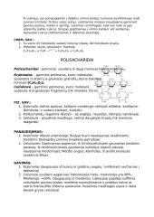 Angliavandeniai konsp. 3 puslapis