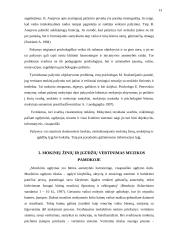 Mokinių žinių ir įgūdžių vertinimas muzikos pamokoje 13 puslapis