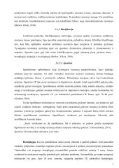 Cerebrinis paralyžius 5 puslapis