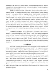 Cerebrinis paralyžius 6 puslapis