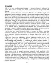 Žmogaus įtaka aplinkai 9 puslapis