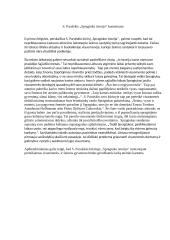 S. Parulskis „Spragtuko istorija“ komentaras