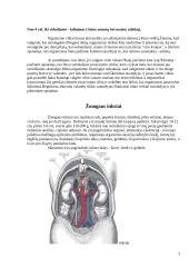 Žmogaus organizmo šalinimo metodai 3 puslapis