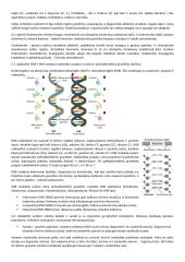 Ląstelės sudėtis 3 puslapis