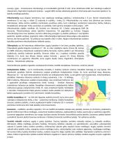 Ląstelės sudėtis 5 puslapis