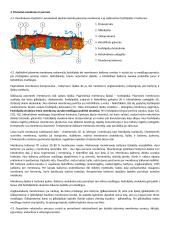 Ląstelės sudėtis 9 puslapis