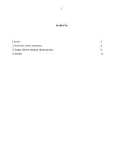 Žmogaus sauga kontrolinis darbas 2 puslapis