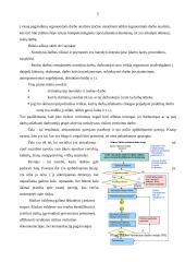 Žmogaus sauga kontrolinis darbas 5 puslapis