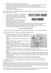 Ekologija konspektas 2 puslapis