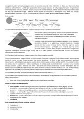 Ekologija konspektas 4 puslapis