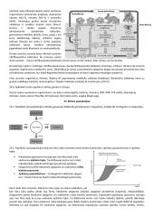 Ekologija konspektas 5 puslapis