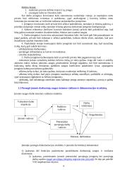 Žmogaus sauga darbe 6 puslapis