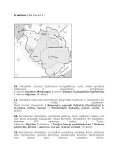 Viduramžių Lietuva testas 2 puslapis