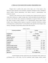 Žmogaus vystymasis 2 puslapis