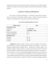 Žmogaus vystymasis 11 puslapis