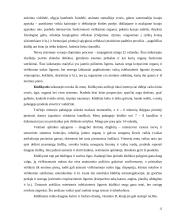 Žmogaus vystymasis 12 puslapis