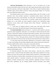 Žmogaus vystymasis 13 puslapis