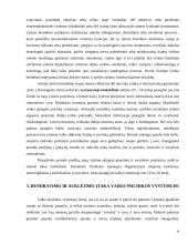 Žmogaus vystymasis 16 puslapis