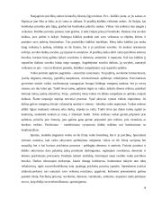 Žmogaus vystymasis 18 puslapis