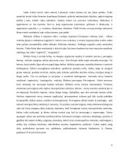 Žmogaus vystymasis 19 puslapis