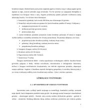 Žmogaus vystymasis 4 puslapis