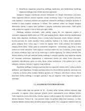 Žmogaus vystymasis 6 puslapis