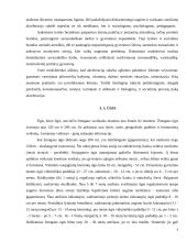 Žmogaus vystymasis 9 puslapis