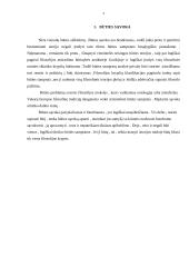 Būties sąvoka ir būties teorija 3 puslapis