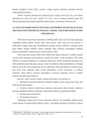 Žmogiškųjų išteklių poreikio planavimas, verbavimas ir atranka 13 puslapis