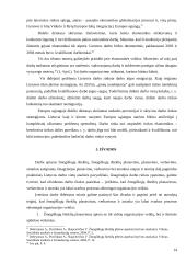 Žmogiškųjų išteklių poreikio planavimas, verbavimas ir atranka 14 puslapis