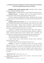 Žmogiškųjų išteklių poreikio planavimas, verbavimas ir atranka 8 puslapis