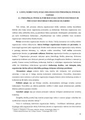 Žmogiškųjų išteklių poreikio planavimas, verbavimas ir atranka 10 puslapis