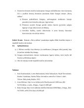 Žmogaus kančia lietuvių literatūroje (planas) 2 puslapis