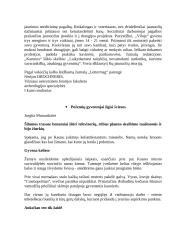 Žmogus iš gatvės 15 puslapis