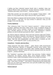 Žmogus iš gatvės 17 puslapis