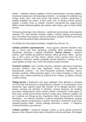 Žmogus iš gatvės 2 puslapis