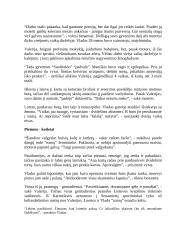 Žmogus iš gatvės 20 puslapis