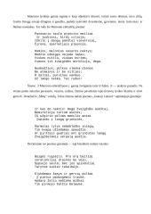 Maironis ir jo kūrybos analizė 13 puslapis