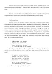 Maironis ir jo kūrybos analizė 14 puslapis