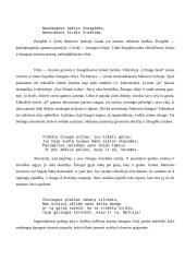 Maironis ir jo kūrybos analizė 15 puslapis