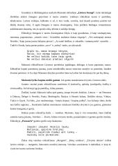 Maironis ir jo kūrybos analizė 10 puslapis