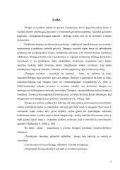 Žmogus socialinių santykių sistemoje 3 puslapis