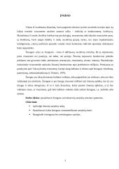 Žmogaus socializacinių santykių sistemos ypatumai 2 puslapis