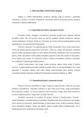 Žmogaus socializacinių santykių sistemos ypatumai 3 puslapis